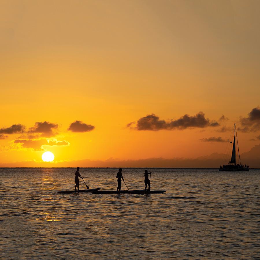 Stand Up Paddle boards