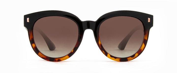 Carve Harpo Sunglasses Gloss Black tort Brown Polarised