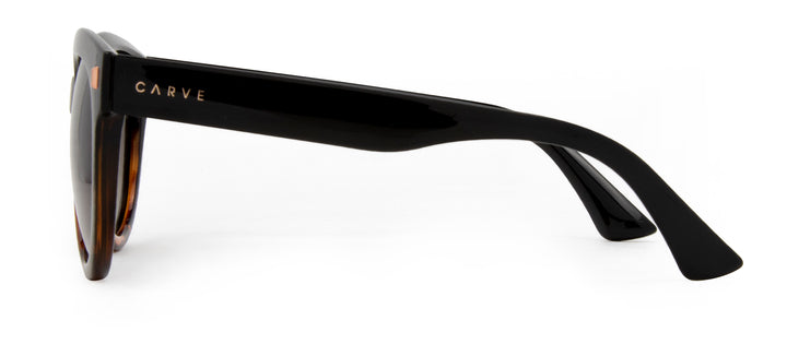Carve Harpo Sunglasses Gloss Black tort Brown Polarised