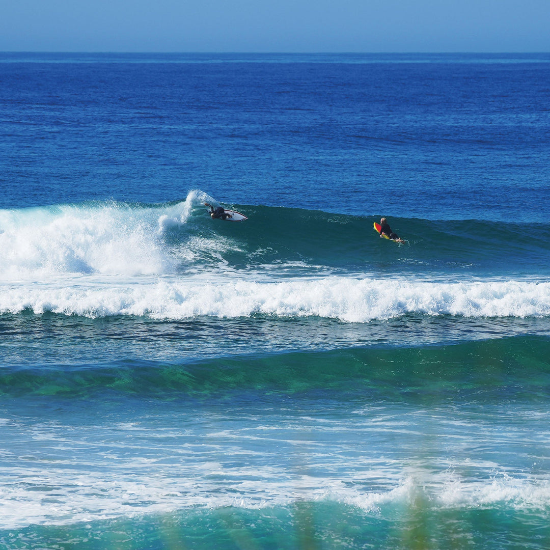 Wetsuit | Boys Free Flex Back Zip Steamer 3/2mm | Ocean and Earth