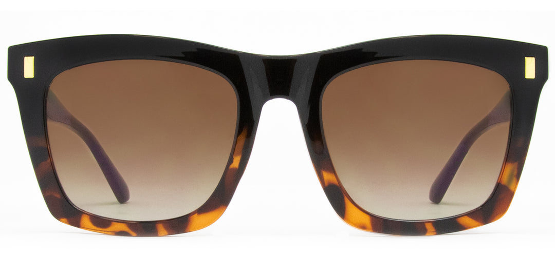 Carve Kirby Sunglasses - Black Tort to Brown