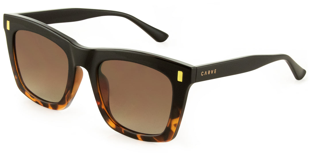Carve Kirby Sunglasses - Black Tort to Brown